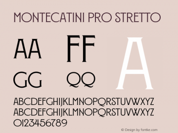 Montecatini Pro Stretto Version 1.020;PS 001.020;hotconv 1.0.88;makeotf.lib2.5.64775图片样张