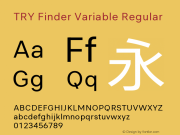 TRY Finder Variable Regular Version 1.0图片样张
