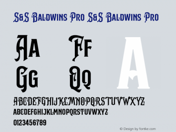 S&S Baldwins Pro Version 1.000;hotconv 1.0.109;makeotfexe 2.5.65596图片样张