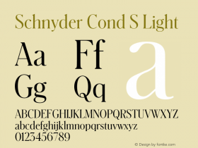 SchnyderCondS-Light Version 1.001图片样张