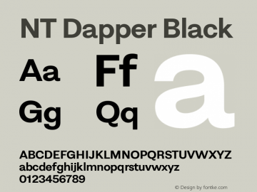 NT Dapper Black Version 2.005图片样张