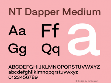 NT Dapper Medium Version 2.005图片样张