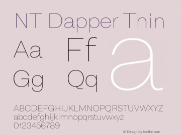 NT Dapper Thin Version 2.005图片样张