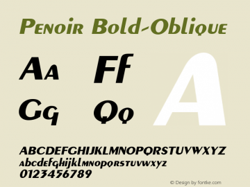 Penoir Bold-Oblique 1.000图片样张
