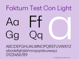 Faktum Test Con Light Version 1.001;PS 001.001;hotconv 1.0.88;makeotf.lib2.5.64775 Font Sample