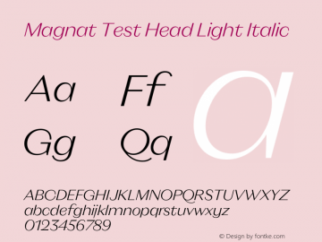 Magnat Test Head Light Italic Version 1.000;PS 001.000;hotconv 1.0.88;makeotf.lib2.5.64775图片样张