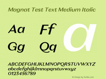 Magnat Test Text Medium Italic Version 1.000;PS 001.000;hotconv 1.0.88;makeotf.lib2.5.64775图片样张