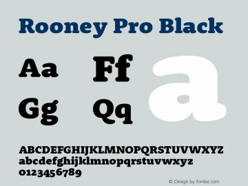 RooneyPro-Black Version 1.1 | wf-rip DC20130325图片样张