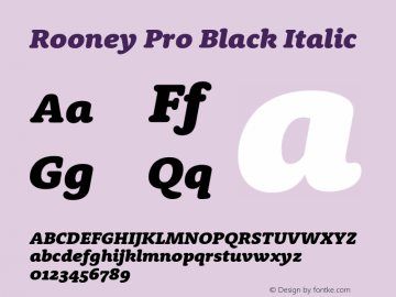 RooneyPro-BlackItalic Version 1.1 | wf-rip DC20130325图片样张