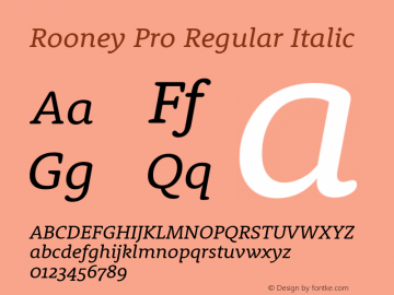 RooneyPro-RegularItalic Version 1.1 | wf-rip DC20130325 Font Sample