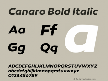 Canaro Bold Italic Version 1.000;PS 001.000;hotconv 1.0.70;makeotf.lib2.5.58329图片样张