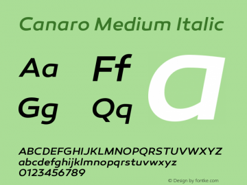 Canaro Medium Italic Version 1.000;PS 001.000;hotconv 1.0.70;makeotf.lib2.5.58329 Font Sample