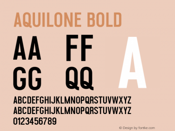 Aquilone-Bold 1.000图片样张