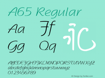 A65 Version 1.00 Font Sample