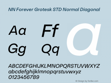 NN Forever Grotesk STD Normal Diagonal Version 1.000;hotconv 1.0.109;makeotfexe 2.5.65596 Font Sample
