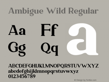 Ambigue Wild Regular 1.000图片样张