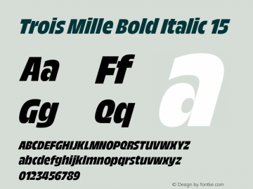 TroisMilleBoldItalic-15 Version 1.000;hotconv 1.0.109;makeotfexe 2.5.65596 Font Sample