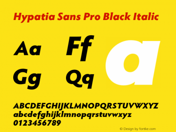 HypatiaSansPro-BlackIt Version 2.073;PS 1.000;hotconv 1.0.68;makeotf.lib2.5.35818 Font Sample
