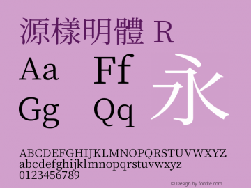 源樣明體 R 图片样张