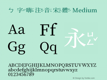 ㄅ字嗨注音宋體 Medium 图片样张