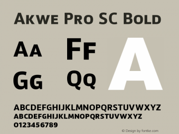 Akwe Pro SC Bold Version 1.000;PS 001.000;hotconv 1.0.88;makeotf.lib2.5.64775 Font Sample