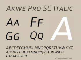 Akwe Pro SC Regular Italic Version 1.000;PS 001.000;hotconv 1.0.88;makeotf.lib2.5.64775 Font Sample