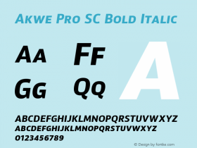 Akwe Pro SC Bold Italic Version 1.000;PS 001.000;hotconv 1.0.88;makeotf.lib2.5.64775图片样张