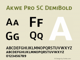 Akwe Pro SC DemiBold Version 1.000;PS 001.000;hotconv 1.0.88;makeotf.lib2.5.64775图片样张