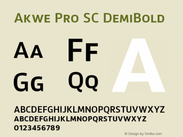 Akwe Pro SC DemiBold Version 1.000;PS 001.000;hotconv 1.0.88;makeotf.lib2.5.64775 Font Sample