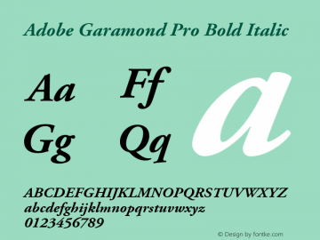 Adobe Garamond Pro Bold Italic Version 2.074;PS 2.000;hotconv 1.0.57;makeotf.lib2.0.21895图片样张