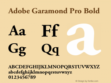 Adobe Garamond Pro Bold Version 2.074;PS 2.000;hotconv 1.0.57;makeotf.lib2.0.21895 Font Sample