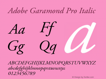 Adobe Garamond Pro Italic Version 2.074;PS 2.000;hotconv 1.0.57;makeotf.lib2.0.21895图片样张