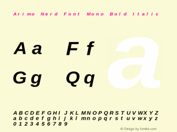 Arimo Bold Italic Nerd Font Complete Mono Version 1.23图片样张