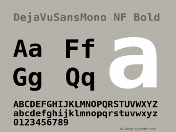 DejaVu Sans Mono Bold Nerd Font Complete Windows Compatible Version 2.37 Font Sample