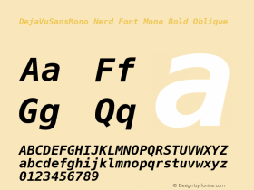 DejaVu Sans Mono Bold Oblique Nerd Font Complete Mono Version 2.37 Font Sample