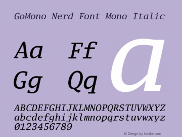 Go Mono Italic Nerd Font Complete Mono Version 2.008; ttfautohint (v1.6)图片样张