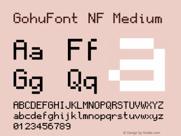 GohuFont Nerd Font Complete Windows Compatible Version 001.000;Nerd Fonts 2 Font Sample