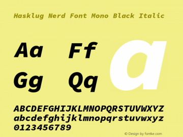 Hasklug Black Italic Nerd Font Complete Mono Version 1.050;PS 1.0;hotconv 16.6.51;makeotf.lib2.5.65220 Font Sample