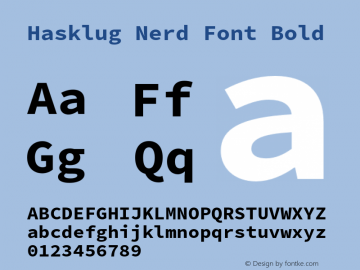 Hasklug Bold Nerd Font Complete Version 2.030;PS 1.0;hotconv 16.6.51;makeotf.lib2.5.65220 Font Sample