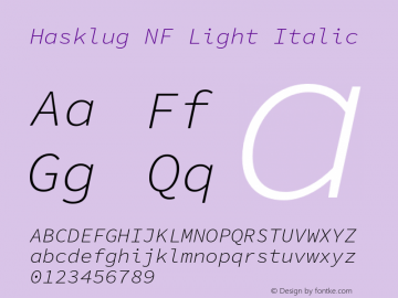 Hasklug Light Italic Nerd Font Complete Mono Windows Compatible Version 1.050;PS 1.0;hotconv 16.6.51;makeotf.lib2.5.65220图片样张
