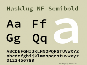 Hasklug Semibold Nerd Font Complete Windows Compatible Version 2.030;PS 1.0;hotconv 16.6.51;makeotf.lib2.5.65220 Font Sample
