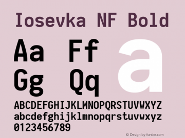 Iosevka Bold Nerd Font Complete Mono Windows Compatible 1.14.0; ttfautohint (v1.7.9-c794) Font Sample