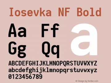 Iosevka Bold Nerd Font Complete Windows Compatible 1.14.0; ttfautohint (v1.7.9-c794)图片样张