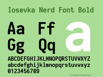 Iosevka Bold Nerd Font Complete 1.14.0; ttfautohint (v1.7.9-c794) Font Sample