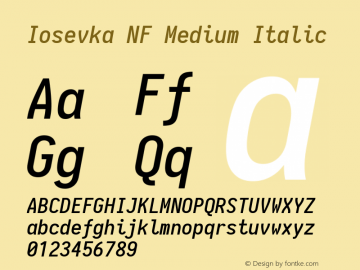 Iosevka Medium Italic Nerd Font Complete Windows Compatible 1.14.0; ttfautohint (v1.7.9-c794)图片样张