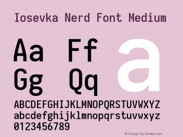 Iosevka Medium Nerd Font Complete 1.14.0; ttfautohint (v1.7.9-c794) Font Sample