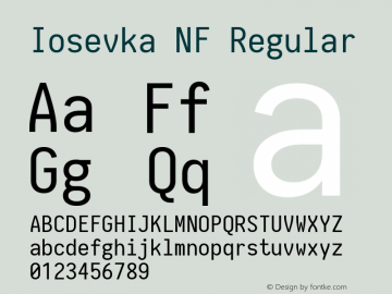 Iosevka Nerd Font Complete Windows Compatible 1.14.0; ttfautohint (v1.7.9-c794)图片样张