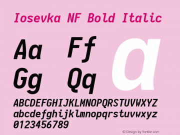 Iosevka Term Bold Italic Nerd Font Complete Mono Windows Compatible 1.14.0; ttfautohint (v1.7.9-c794) Font Sample