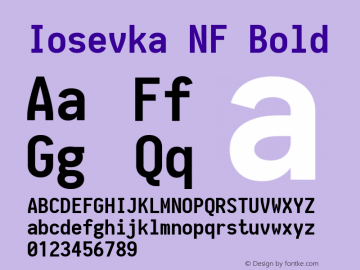 Iosevka Term Bold Nerd Font Complete Mono Windows Compatible 1.14.0; ttfautohint (v1.7.9-c794) Font Sample