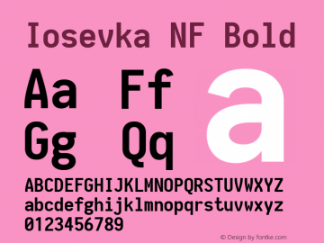 Iosevka Term Bold Nerd Font Complete Windows Compatible 1.14.0; ttfautohint (v1.7.9-c794) Font Sample